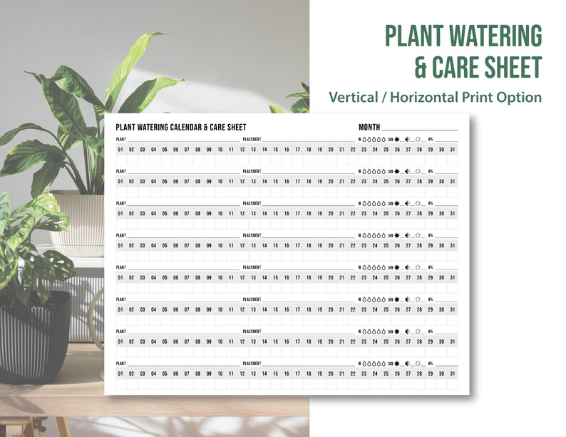 Okay, here is a comprehensive article about plant watering schedules, aiming for approximately 1600 words.