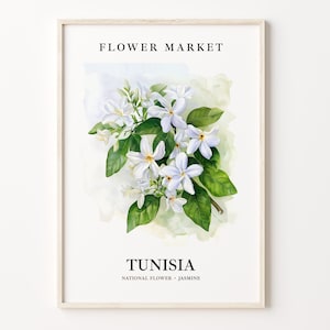 Tunisia Flower Market Art Print, Jasmine Wall Art, Botanical Pastel Artwork, Tunisia Flower Decor, Floral Home Decor, C31-589