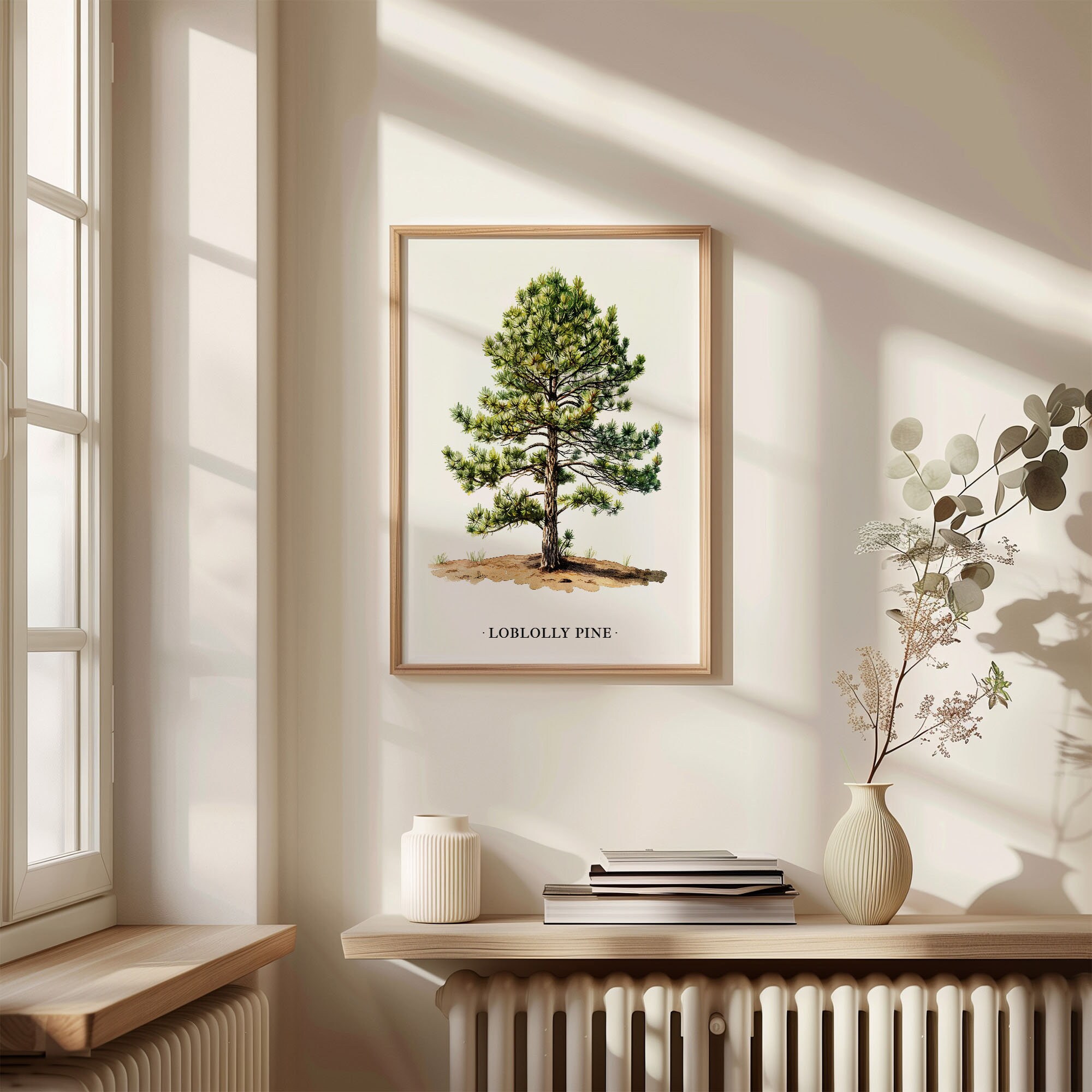 Loblolly Pine Tree Art Print: Botanical Illustration Poster - Etsy