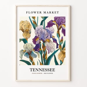 Tennessee State Flower, Iris Art Print, 1960s Wall Art, Neutral Botanical Pastel, Tennessee Flower Market, Home Decor, C31-58