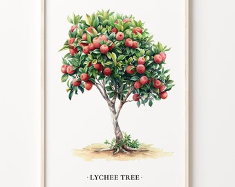 Lychee Tree Art Print: Tropical Botanical Wall Decor