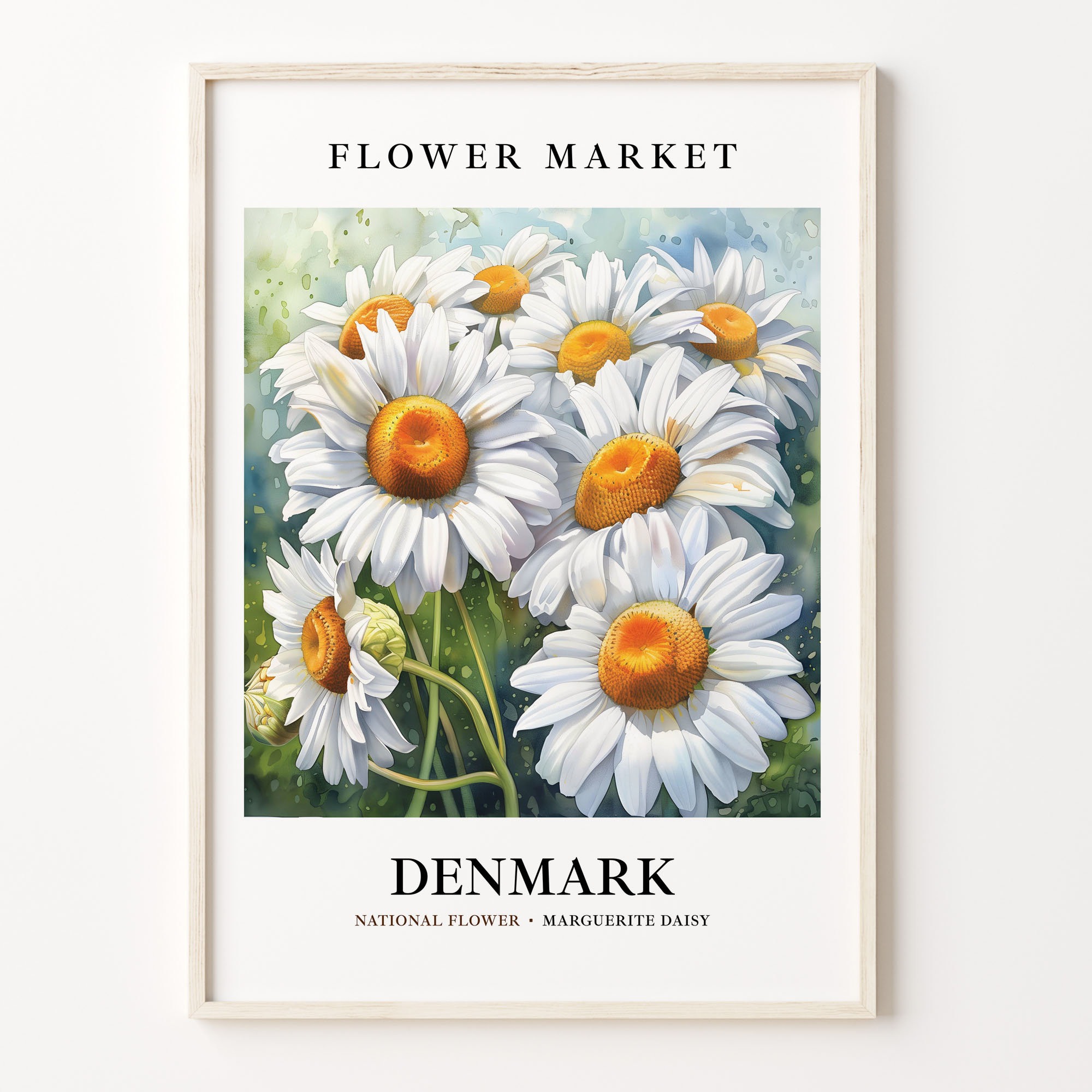 Marguerite Daisy Art Print: Denmark National Flower, 1960s