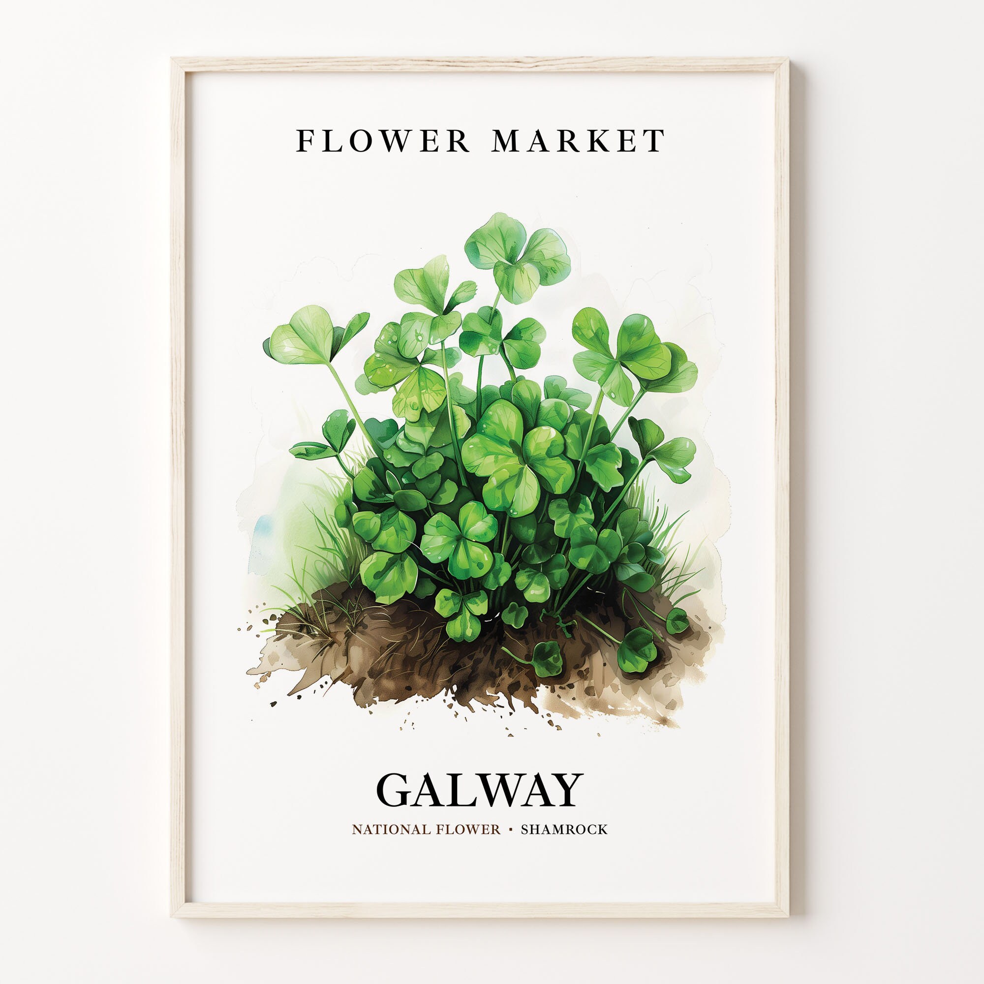Galway Ireland Flower Market Print: Shamrock Botanical Art