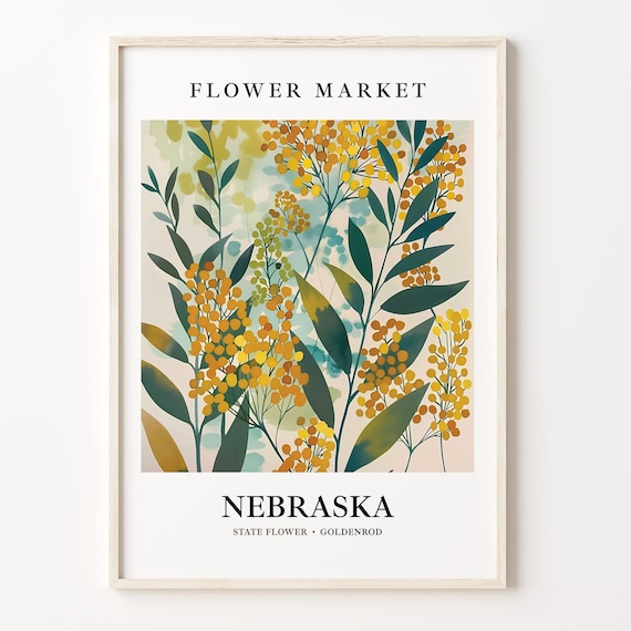 Goldenrod Botanical Art Print: 1960s Nebraska Flower Market