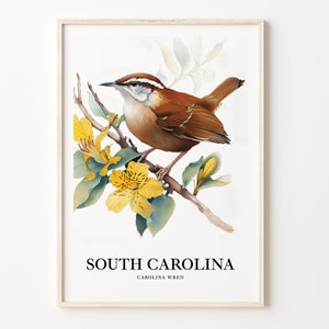 South Carolina State Bird & Flower Art Print, Wall Art, Home Decor, South Carolina State Art, Nature Print, C31-101