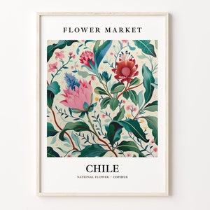 Chile National Flower Art Print, Cophihue Market 1960&#39;s Wall Art, Neutral Botanical Pastel Artwork, Chile Flower Decor, C31-296