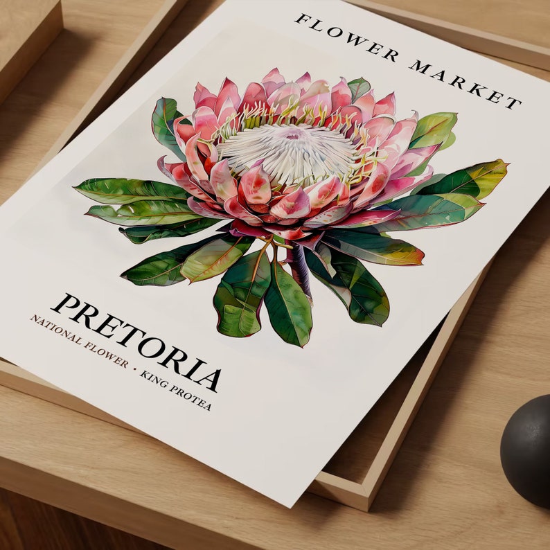 King Protea Flower Print: Pretoria South Africa Floral Art Bild 7