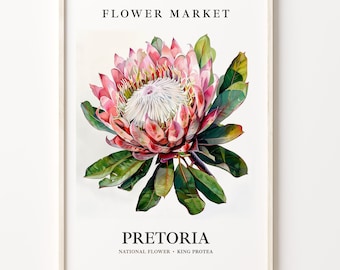 King Protea Flower Print: Pretoria South Africa Floral Art