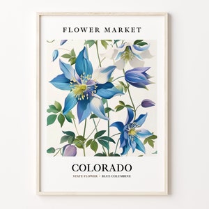 Colorado State Flower Art Print, Blue Columbine 1960's Wall Art, Neutral Botanical Pastel Artwork, Colorado Flower Market Decor, C31-46