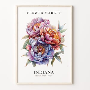 Indiana State Flower Art Print, Peony 1960s Wall Art, Neutral Botanical Pastel Artwork, Indiana Flower Market Decor, C31-73