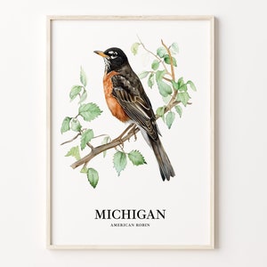 Impresión de arte de aves del estado de Michigan, arte de la pared de flores del estado de Michigan, decoración del hogar de Michigan, obras de arte de la naturaleza, regalo para los amantes de las aves, C31-110