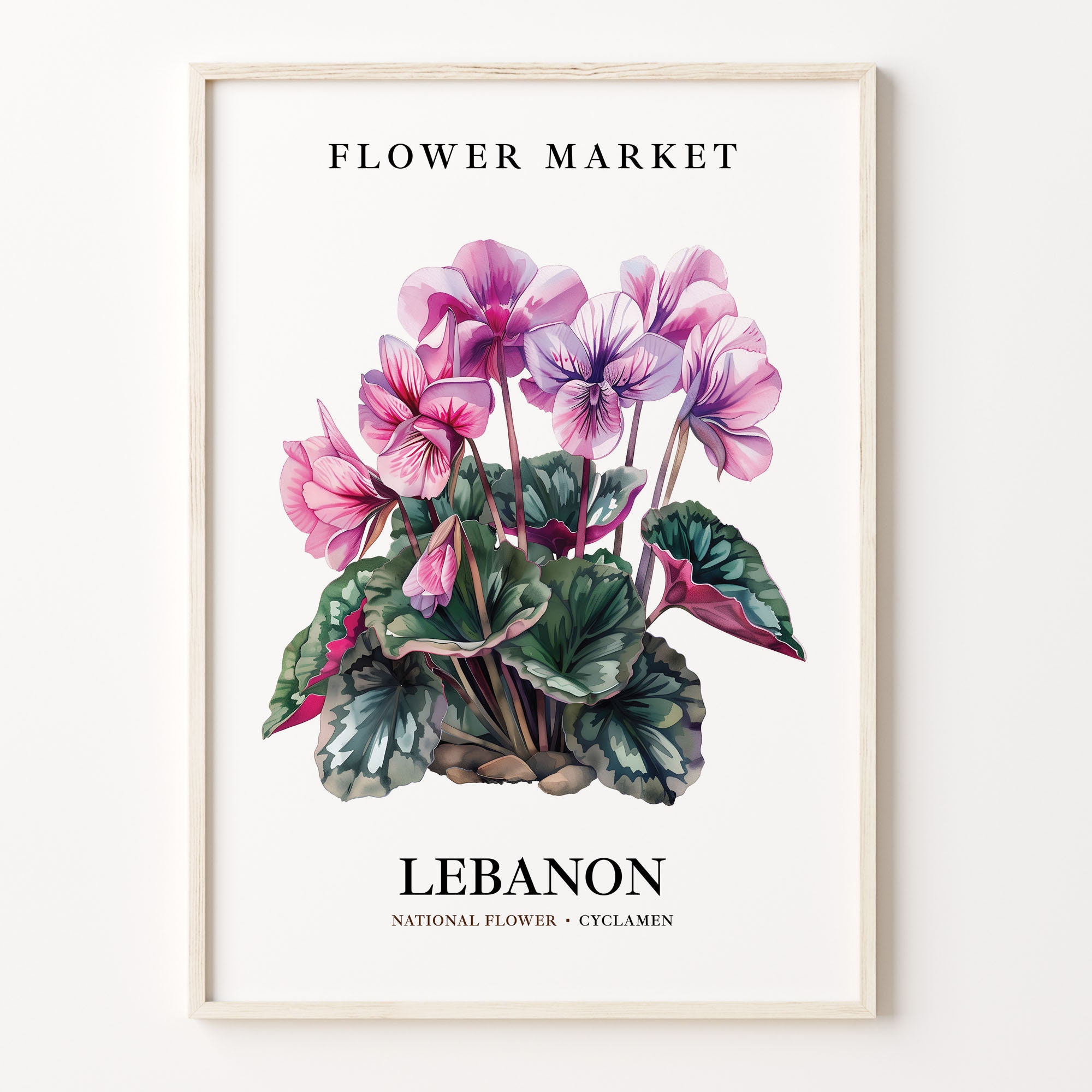 Lebanon National Flower Art Print, Cyclamen Wall Art, Botanical Pastel Artwork, Lebanon Flower Decor, Floral Home Decor, C31-407