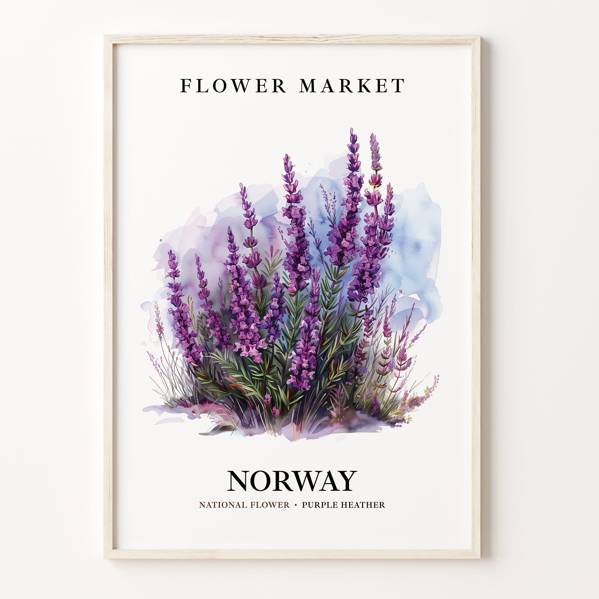 Norway National Flower Art Print: Purple Heather Botanical Decor
