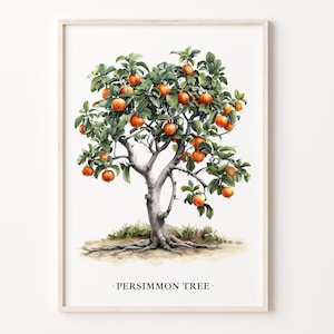 Persimmon Tree Art Print: Botanical Illustration, Nature Home Decor