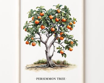 Persimmon Tree Art Print: Botanical Illustration, Nature Home Decor