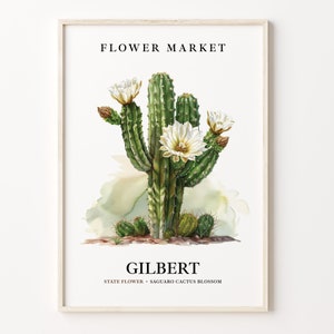 Gilbert Arizona Blumenmarkt Kunstdruck, Saguaro Kaktus Blüte Wandkunst, Gilbert Blume Botanisches Pastell Kunstwerk, C31-261
