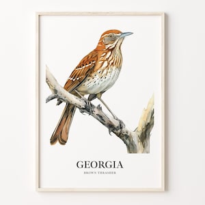 Georgia State Bird Art Print, Georgia State Flower Wall Art, Home Decor, Georgia Gifts, Botanical Print, C31-103