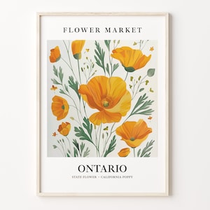 Ontario California Flower Market Art Print, Poppy Wall Art, Botanical Pastel Artwork, Ontario Flower Decor, C31-231