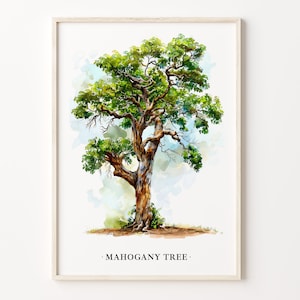 Mahogany Tree Art Print, Mahogany Tree Wall Art, Nature Poster, Botanical Illustration, Home Decor, Gift Idea, C31-469