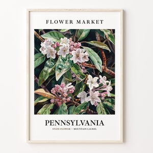 Pennsylvania State Flower Art Print, Mountain Laurel 1960s Wall Art, Neutral Botanical Pastel Artwork, Pennsylvania Flower Market, C31-67
