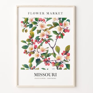 Missouri State Flower Art Print, 1960's Hawthorn Wall Art, Neutral Botanical Pastel Artwork, Missouri Flower Market, C31-95