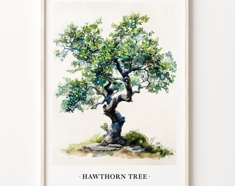 Hawthorn Tree Art Print: Botanical Nature Wall Decor