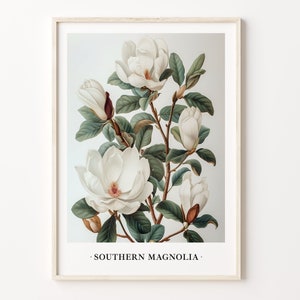 Southern Magnolia Tree Art Print: Botanical Illustration Poster