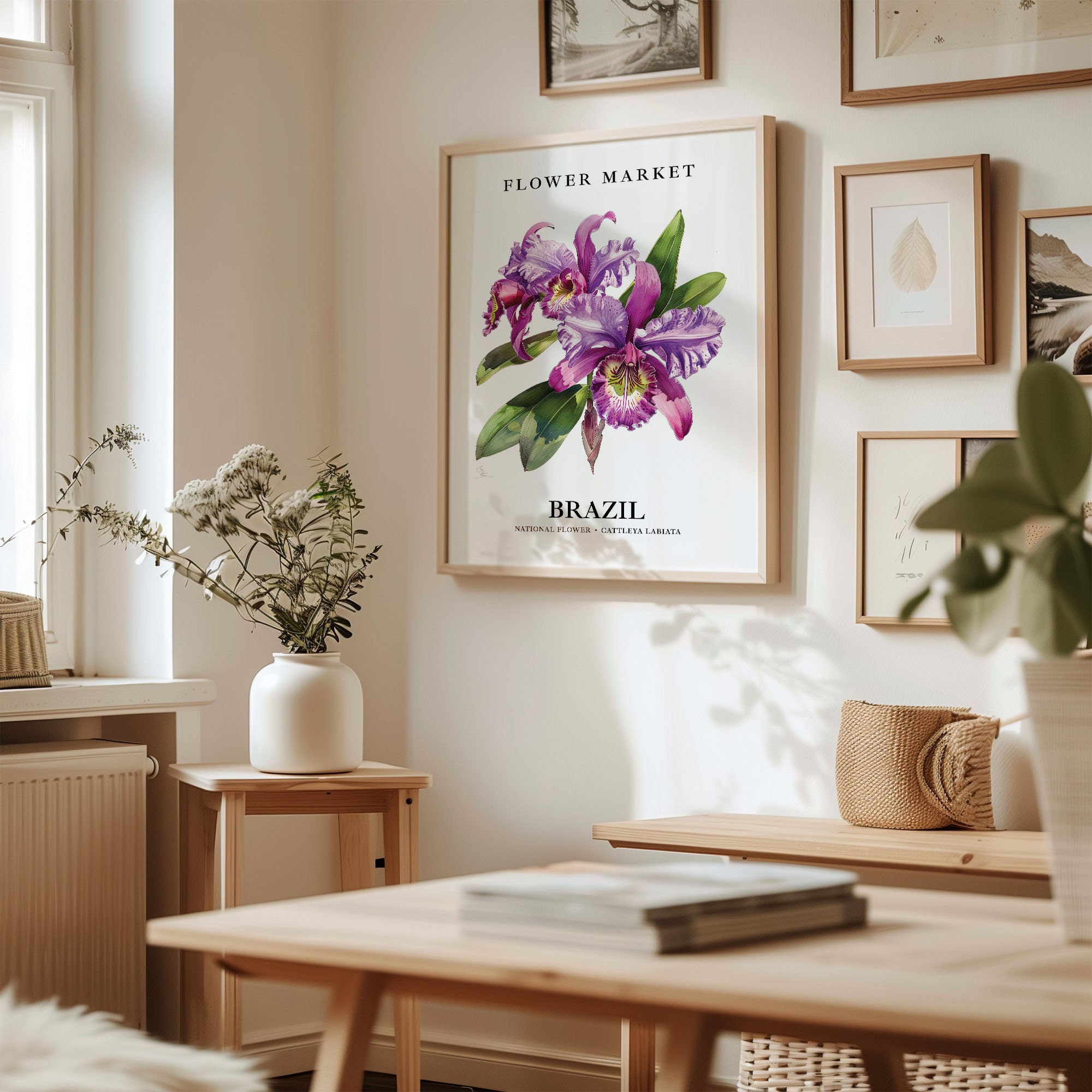 Cattleya Labiata Art Print: Brazil National Flower, 1960s