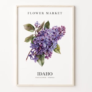 Idaho State Flower Art Print, Syringa 1960's Wall Art, Idaho Flower Market Poster, Neutral Botanical Pastel Decor, C31-87