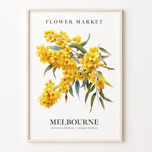 Melbourne Flower Market Art Print, Golden Wattle Wall Art Poster, Australian Floral Decor, Botanical Print, C31-536