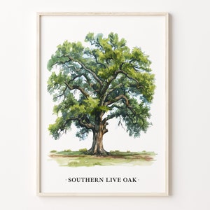Southern Live Oak Tree Art Print, Wall Art Poster, Nature Decor, Southern Oak Tree Print, Landscape Art, C31-483