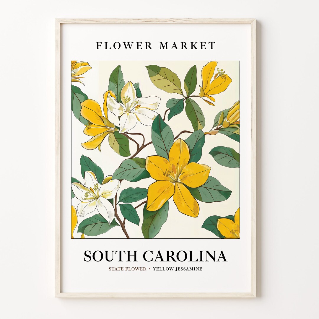 South Carolina State Flower Art Print, Yellow Jessamine Wall Art, 1960 ...