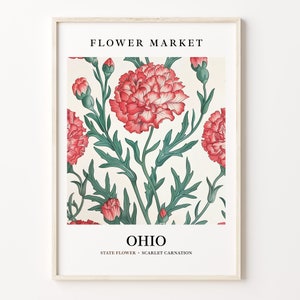 Ohio State Flower Art Print, Scarlet Carnation 1960's Wall Art, Neutral Botanical Pastel Artwork, Ohio Flower Market Decor, C31-51