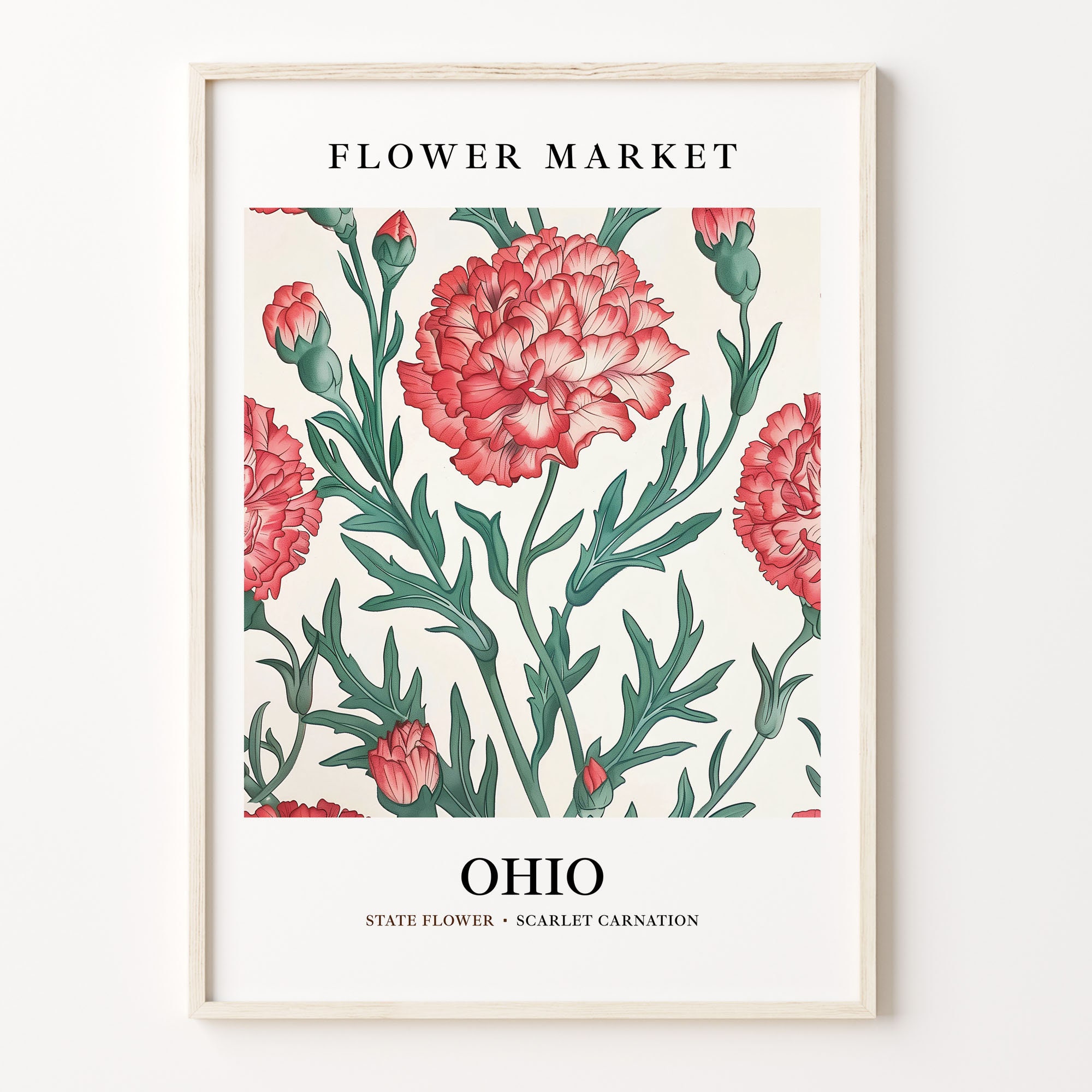 Scarlet Carnation Art Print: Vintage Ohio State Flower Decor - Etsy