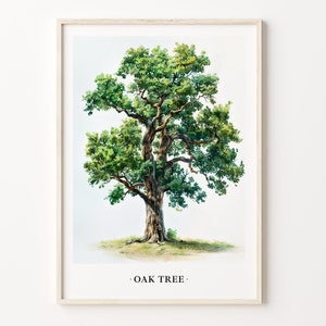 Oak Tree Art Print: Botanical Forest Illustration