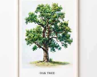 Oak Tree Art Print: Botanical Forest Illustration