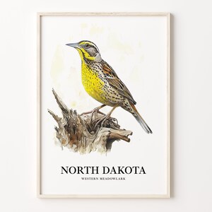 North Dakota Art Print: State Bird & Flower Wall Decor