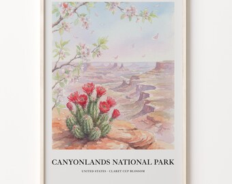 Canyonlands Poster, Watercolor Desert Landscape With Flowering Cactus