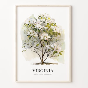 Virginia State Tree Art Print, Flowering Dogwood Wall Art, State Symbol Decor, Nature Artwork, Botanical Print, C31-30