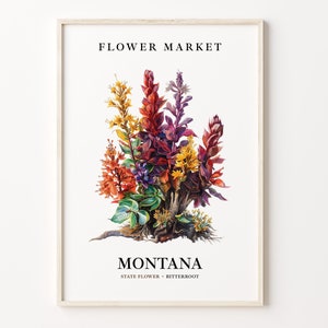 Lámina artística de la flor del estado de Montana, arte mural Bitterroot, mercado de flores de Montana de la década de 1960, obra botánica en tonos pastel neutros, C31-68