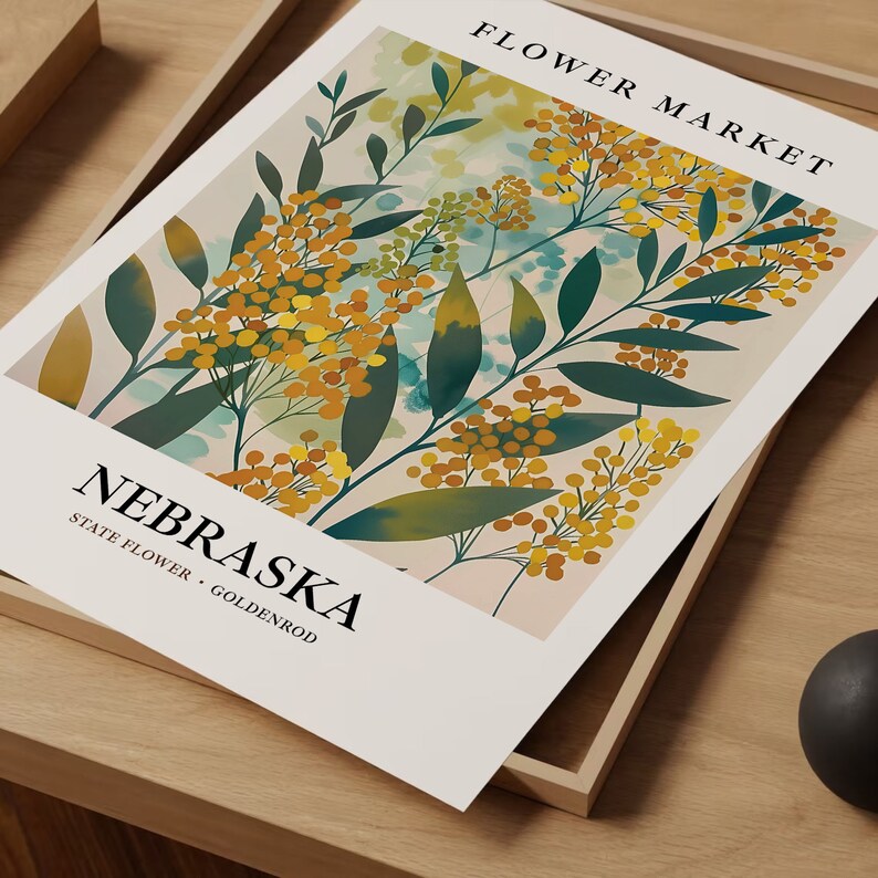 Goldenrod Botanical Art Print: 1960s Nebraska Flower Market image 7