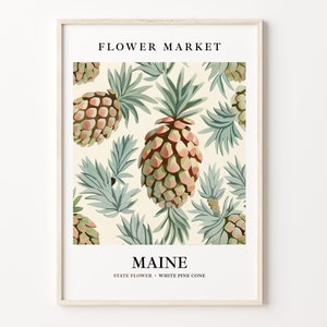 Maine State Flower Art Print, White Pine Cone 1960s Wall Art, Neutral Pastel Botanical Artwork, Maine Flower Market Decor, C31-86