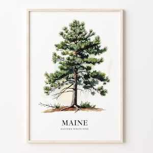 Maine State Tree Art Print, Eastern White Pine Wall Art, State Tree Symbol Artwork, Nature Home Decor, C31-38