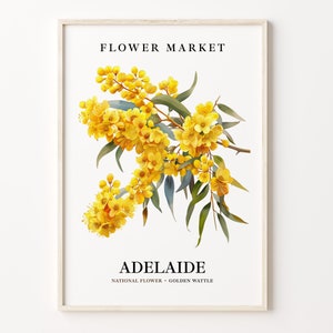 Adelaide Flower Market Art Print, Australia Wall Art, Adelaide Poster, Floral Market Print, Home Decor, C31-535