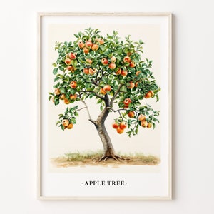 Apple Tree Art Print, Apple Tree Wall Art, Botanical Poster, Nature Decor, Kitchen Art, Farmhouse Style, Home Office Decor, C31-481