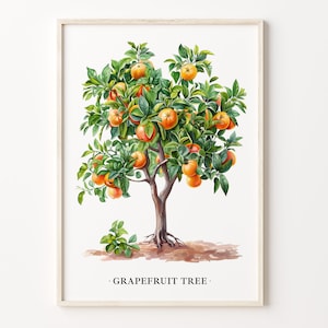 Grapefruit Tree Art Print: Botanical Citrus Illustration