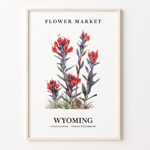 Wyoming State Flower Art Print, Indian Paintbrush 1960's Wall Art, Neutral Botanical Pastel Artwork, Wyoming Flower Market Decor, C31-78