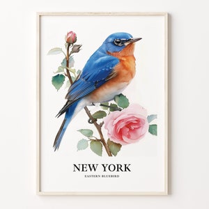 Impresión de arte de aves del estado de Nueva York, arte de la pared de flores del estado, decoración del hogar de Nueva York, arte de la pared de Nueva York, decoración de la naturaleza, C31-98