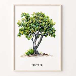 May include: A watercolour painting of a fig tree with green leaves and brown branches. The tree is set against a white background and the text "FIG TREE" is written below the tree.