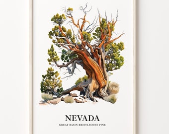 Nevada State Tree Art Print, Bristlecone Pine Wall Decor, C31-21